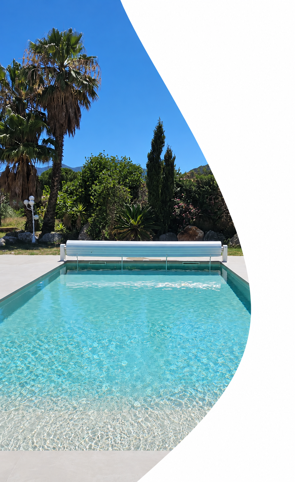Piscine turquoise sous les palmiers